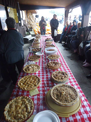 The apple pie baking competition is fierce at the annual Apple Pie Competition at the Apple Stir Fall Harvest Festival at MacQueen Apple Orchard, Cider Mill, Farm Market, and Pick Your Own Apples, Holland, Ohio, west of Toledo