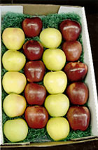 Send a gift box of apples to friends and relatives from Pick Your Own Apples at MacQueen Apple Orchard, Cider Mill, Farm Market, and U-Pick Apples, Holland, Ohio, west of Toledo