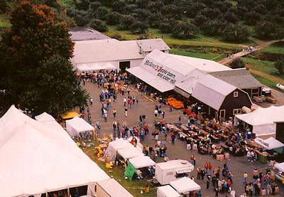 Don't miss the giant Apple Stir Festival at MacQueen Apple Orchard, Cider Mill, Farm Market, and Pick Your Own Apples, Holland, Ohio, west of Toledo